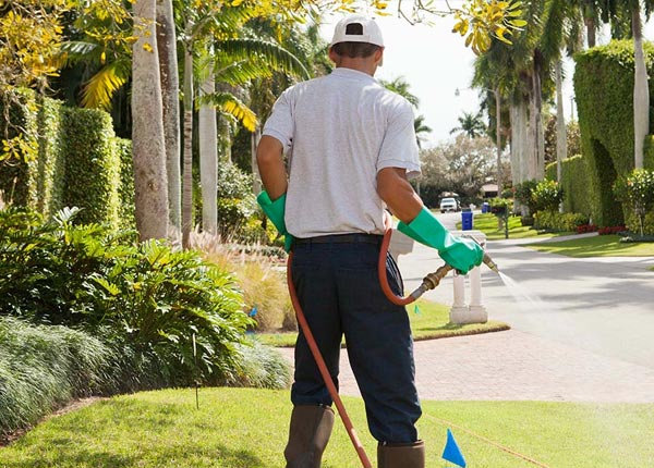 About Johnson NE Pest Control